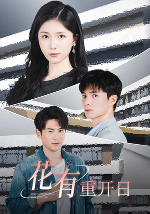 花有重开日(41集) 花有重开日(41集)追风的女孩短剧