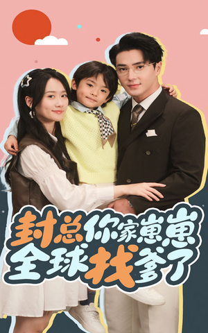 封总你家崽崽全球找爹了（64集）百度网盘在线看