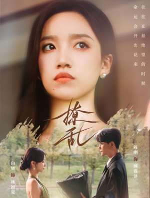 撩乱（65集）看精彩短剧