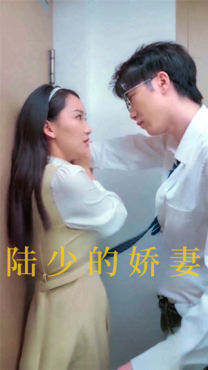 陆少的娇妻(100集) 陆少的娇妻(100集)看到了大结局