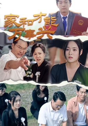 家和才能万事兴（30集）短剧在哪里看