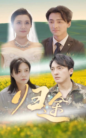 归途(52集) 归途(52集)短剧在线观看