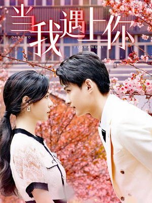 当我遇上你（100集）免费热门短剧