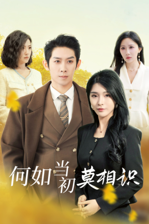 何如当初莫相识(36集) 何如当初莫相识(36集)精彩好看短剧