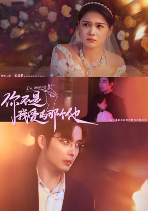 你不是我爱的那个他（54集）海量短剧免费看