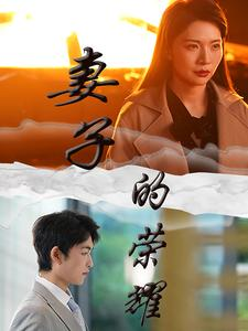 妻子的荣耀（40集）去哪里看