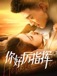 你好厉指挥(100集) 你好厉指挥(100集)火爆短剧来袭