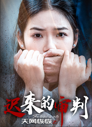天网恢恢之迟来的审判(31集) 天网恢恢之迟来的审判(31集)精彩的短剧