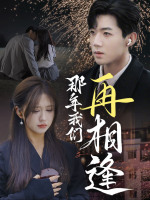 那年我们再相逢（65集）超好看的短剧