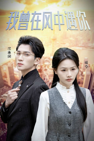 我曾在风中遇你(30集) 我曾在风中遇你(30集)免费全集短剧