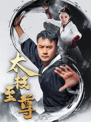 太极至尊（53集）全季一次看完