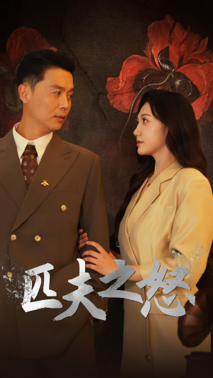 匹夫之怒（48集）全集免费观看