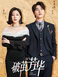 破茧芳华(80集) 破茧芳华(80集)好看短剧推荐