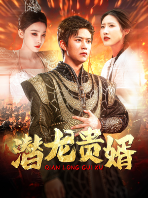 潜龙贵婿（89集）在线免费观影