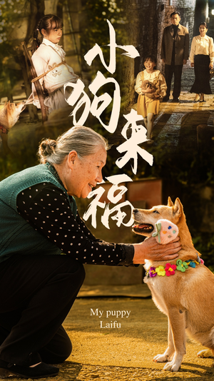 小狗来福(30集) 小狗来福(30集)短剧解说热门