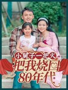 小舅子一把火把我烧回80年代（100集）全集免费看短剧
