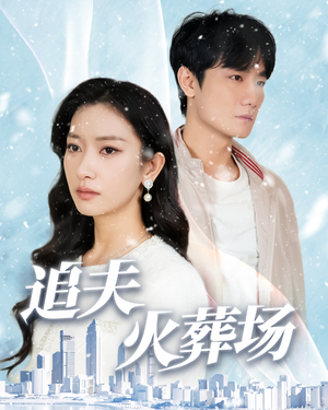 追夫火葬场(31集) 追夫火葬场(31集)免费观看完整版