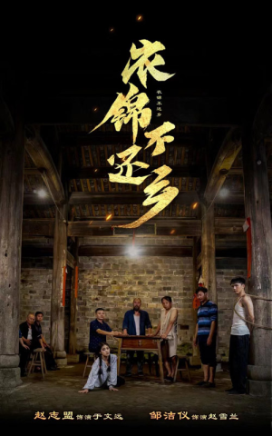 衣锦不还乡(69集) 衣锦不还乡(69集)精彩短剧随心推