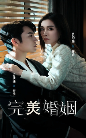 完美婚姻（65集）最热短剧推荐