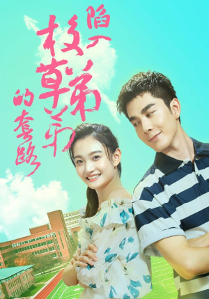 陷入校草弟弟的套路(60集) 陷入校草弟弟的套路(60集)男频短剧推荐