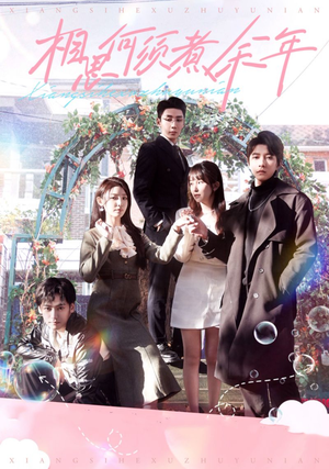 相思何须煮余年（33集）每天分享短剧