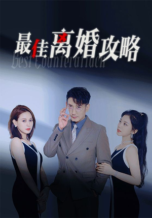 最佳离婚攻略（31集）在哪个平台看好