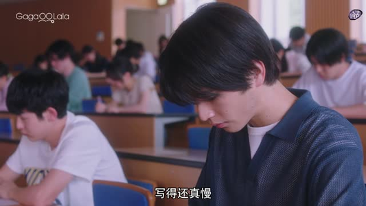 向阳之处必有声（12集）UC网盘在线看