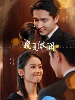 晚夏微澜(77集) 晚夏微澜(77集)解说
