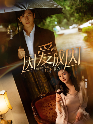 因爱成囚(30集) 因爱成囚(30集)推荐你们也去看