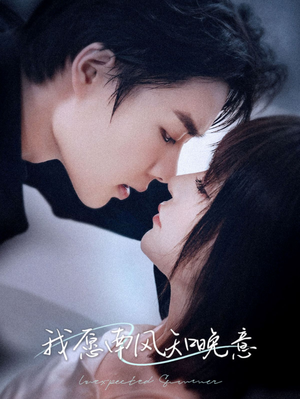 我愿南风知晚意（61集）热播古装短剧