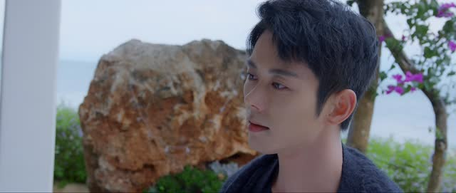 向北的遗憾（20集）看过的人都说好