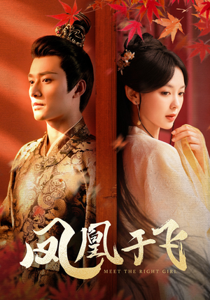 凤凰于飞(79集) 凤凰于飞(79集)全集免费