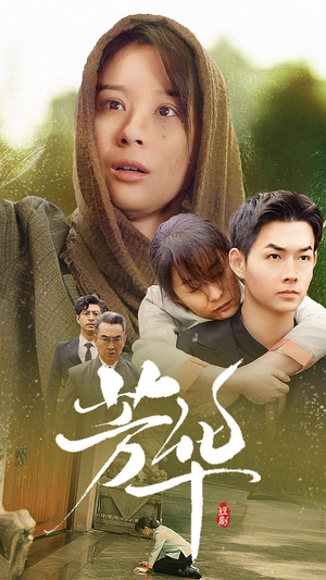 芳华（80集）百度网盘资源