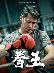 拳王（72集）免费短剧大全