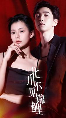 北川不见锦鲤(72集) 北川不见锦鲤(72集)好看短剧推荐