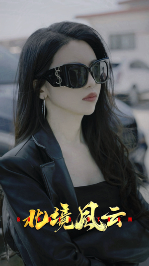 北境风云（86集）热播短剧排行榜
