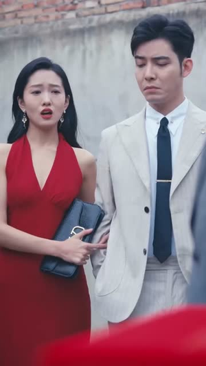 他的荣耀(合集) 他的荣耀(合集)演的怎么样