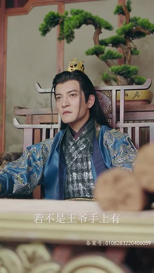 王行天下(100集) 王行天下(100集)解说文案