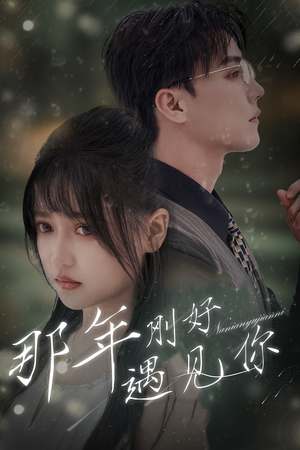 那年遇见你(62集) 那年遇见你(62集)口碑之选免费看