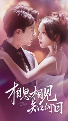 相思相见知何日（81集）无需会员免费看
