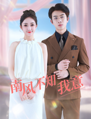 南风不知我意（81集）热门短剧免费看