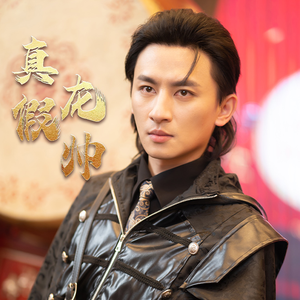 真假龙帅（81集）精彩短剧又来了