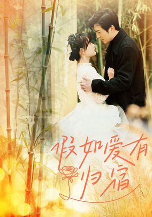 假如爱有归宿（73集）热门短剧追不停