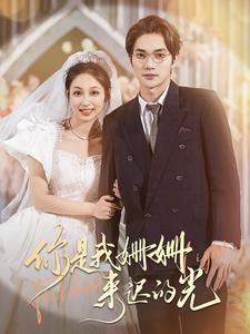 你是我姗姗来迟的光(99集) 你是我姗姗来迟的光(99集)流畅播放免费看