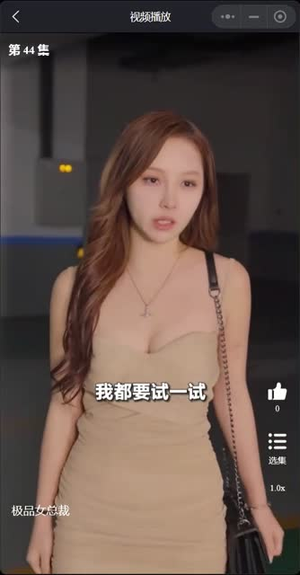 我的富豪美女总裁（我的极品女总裁）热门短剧分享