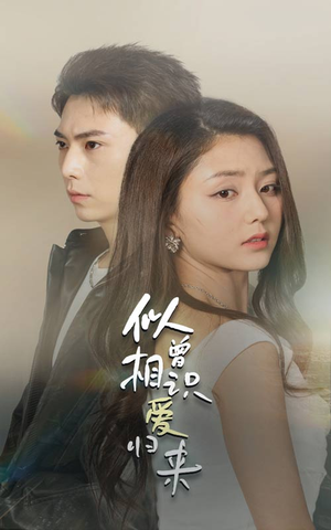 似曾相识爱归来（77集）解说文案