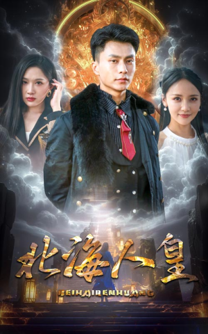 北海人皇(80集) 北海人皇(80集)评价怎么样