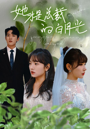 她才是总裁的白月光(90集) 她才是总裁的白月光(90集)短剧在线观看