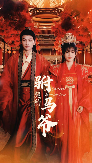 契约驸马爷（74集）短剧在哪个平台