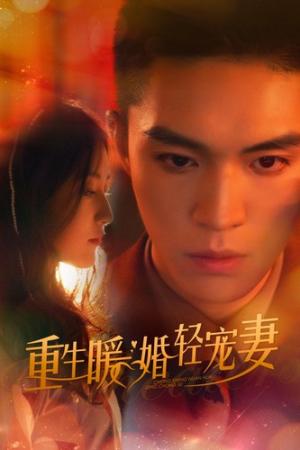 重生暖婚轻宠妻(70集) 重生暖婚轻宠妻(70集)红果短剧看全集